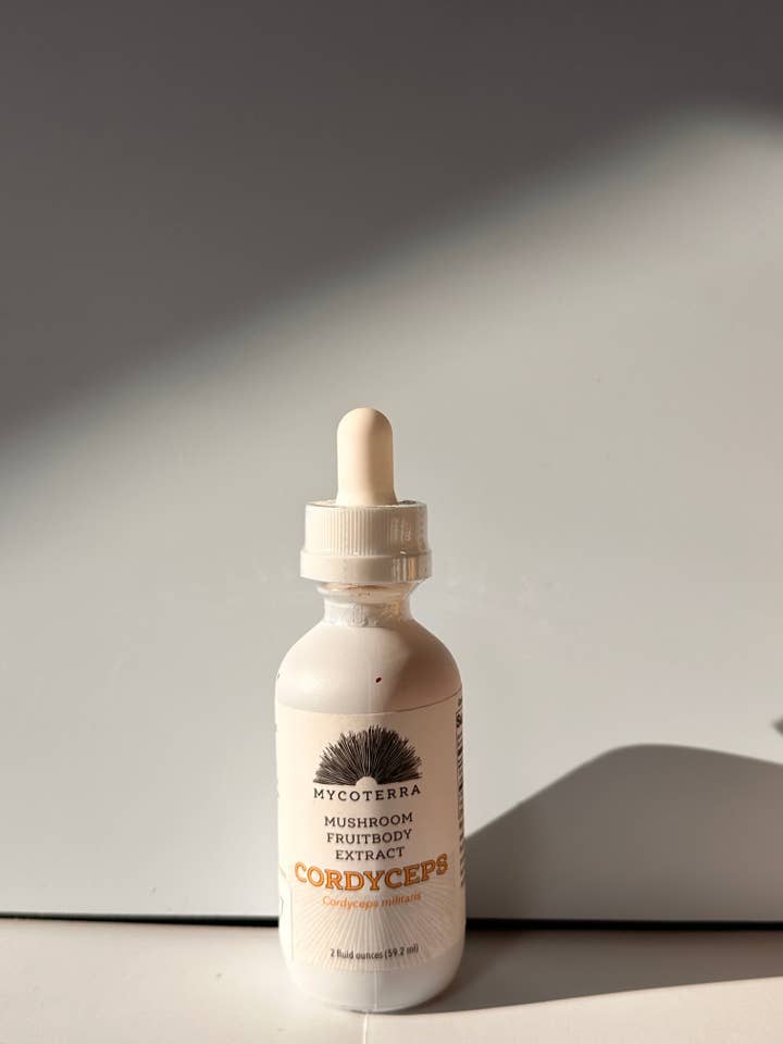 Organic Cordyceps Tincture for wholesale by Mycoterra Farm