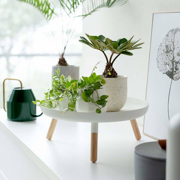 Yamazaki Home - Wholesale Decorative Tray - Countertop Pedestal Tray - Steel + Wood15