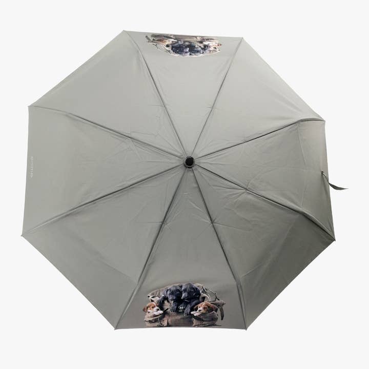 Paraguas Mujer plegable "CUCCIOLI" | estampado Perritos para venta al por mayor de Linea Emme Collezioni