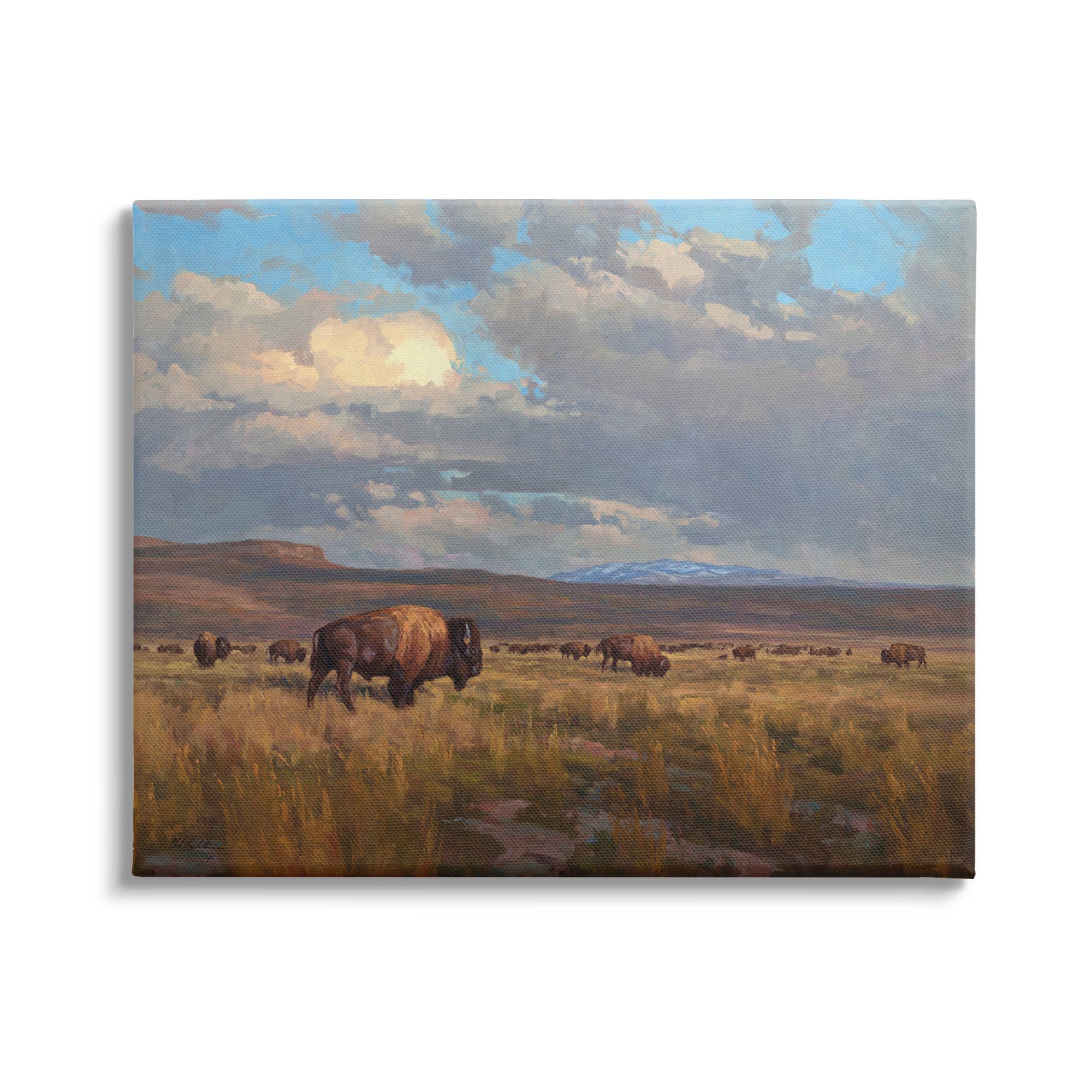 Stupell Industries - Wholesale Art Print - Buffalo Cloudy Landscape Canvas Art1