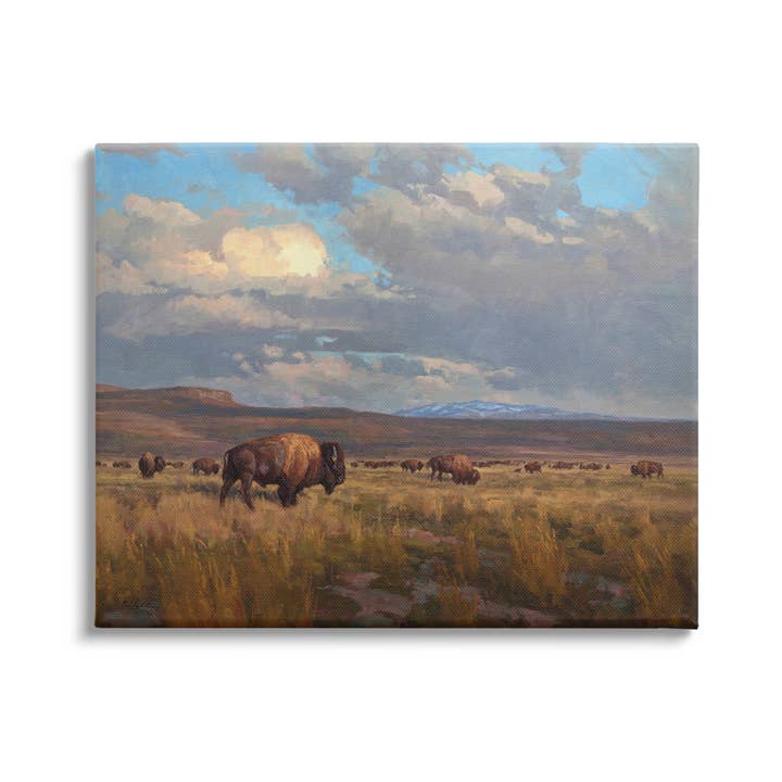 Stupell Industries - Wholesale Art Print - Buffalo Cloudy Landscape Canvas Art1
