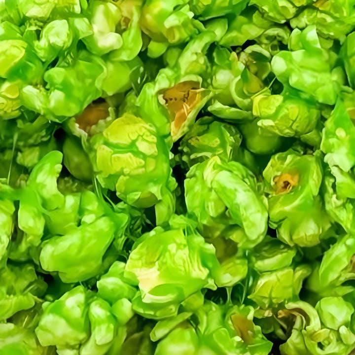 Caramel Apple Caramel Corn Ball for wholesale by Gary's Gourmet Caramel Corn