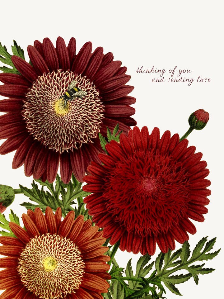 Thinking of You and Sending Love • 5x7 Greeting Card for wholesale by P. Flynn Design / Phun House