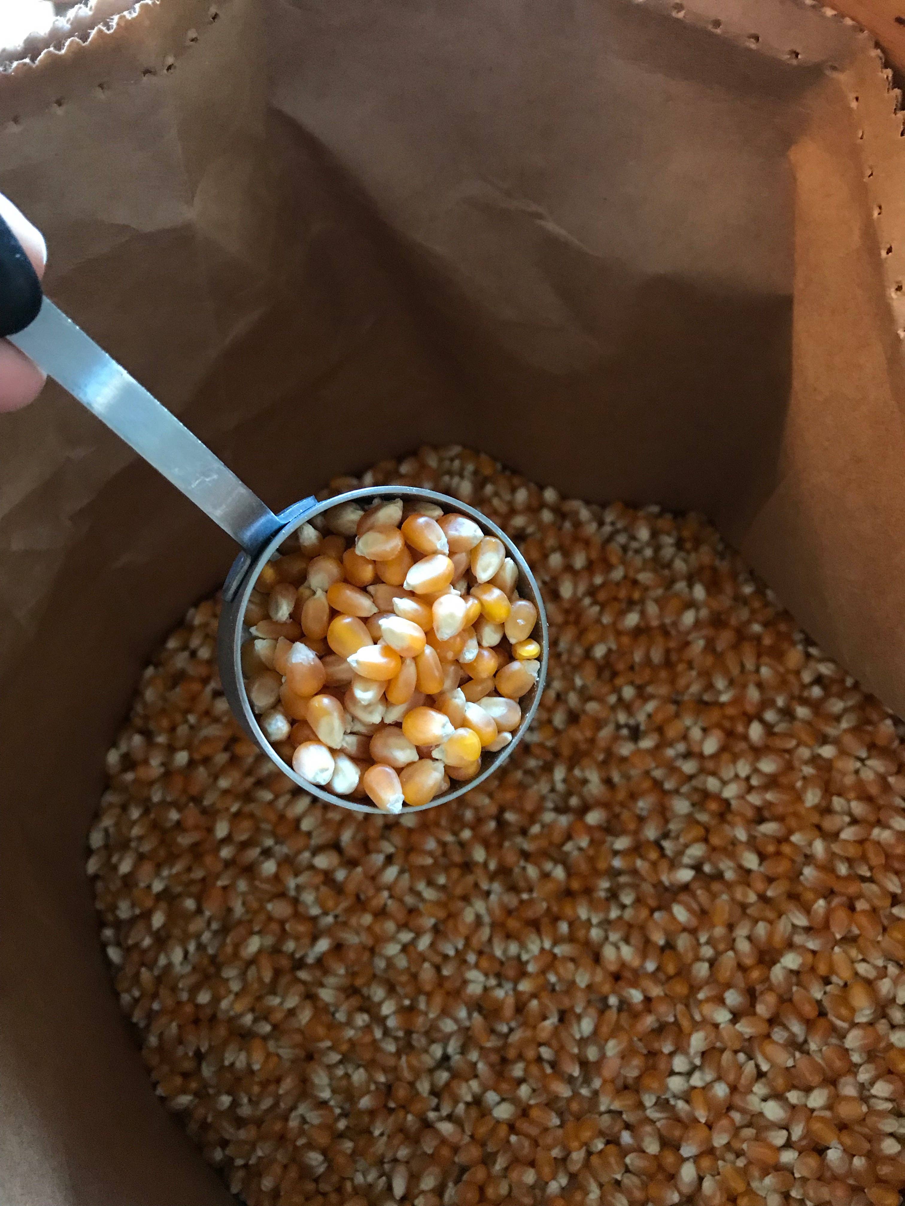 Free Day Popcorn Company - Wholesale Popcorn - Omega Mushroom™, 50 lb bag6