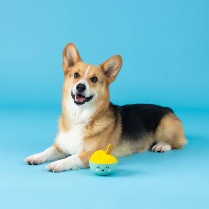 Petshop by Fringe Studio - Wholesale Pet Toy - Dog - YOU MAKE MISO HAPPY LATEX DOG TOY