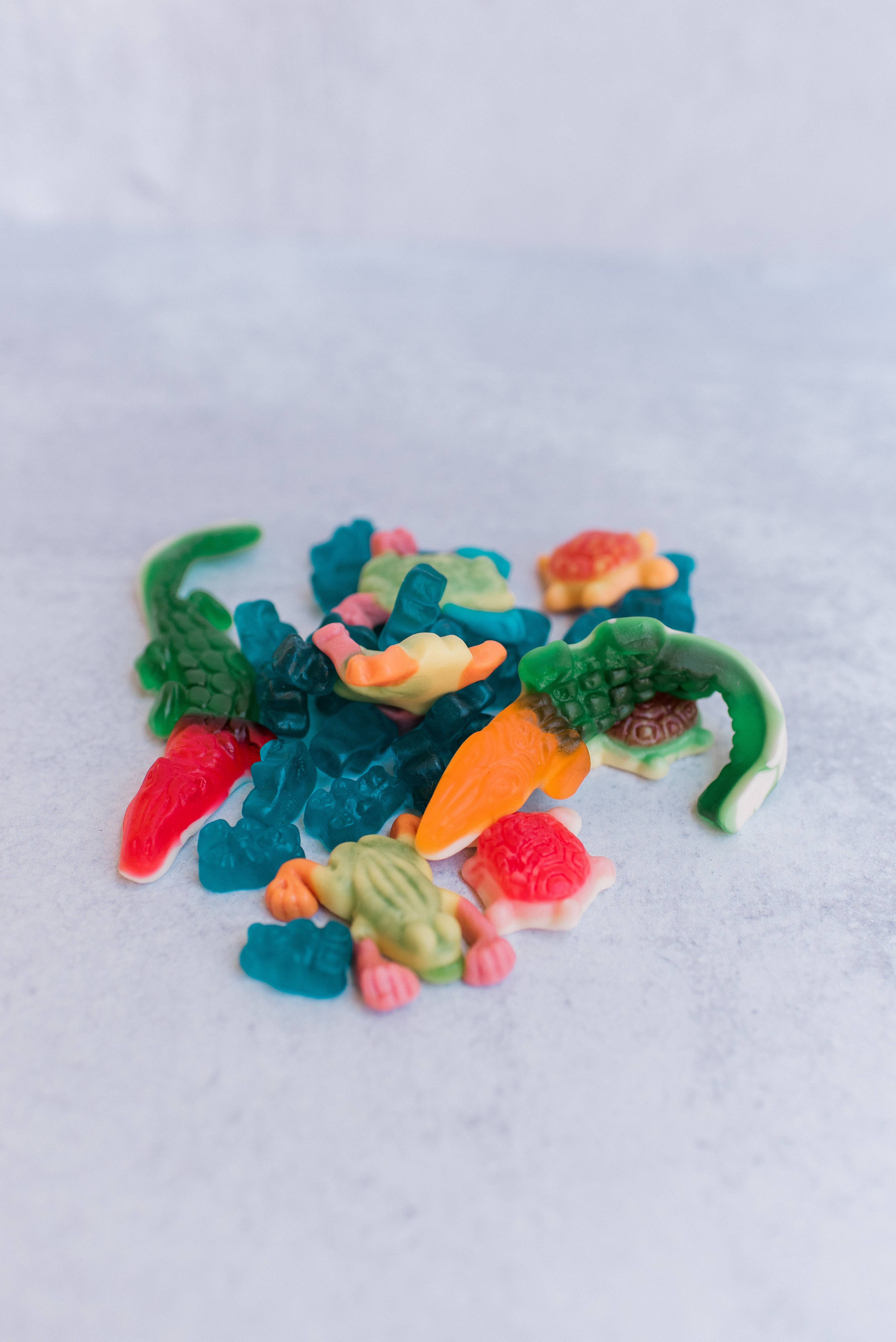 The Honey Den - Wholesale Gummy - The Swamp Mix– Frogs, Gators, Turtles & Blue “Water” gummies5