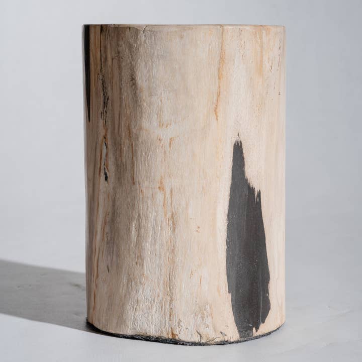 Office Objets - Wholesale Side Table - White petrified wood side table with black spots H:27.5 D:1875
