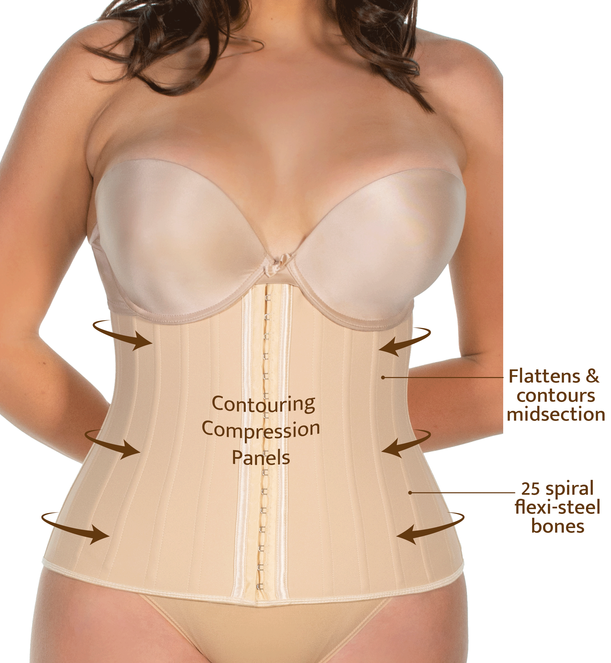 B Free AUSTRALIA - Wholesale Corset - Women's - Hourglass Corset With 25 Steel Bones2