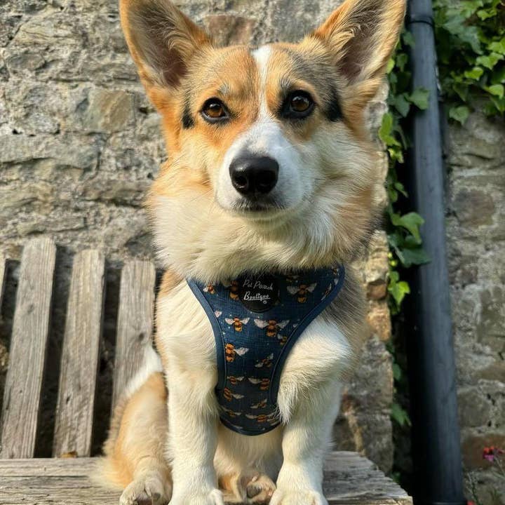 Pet Pooch Boutique - Wholesale Pet Harness - Dog - Blue Buzzy Bumble Bee Puppy Dog Harness