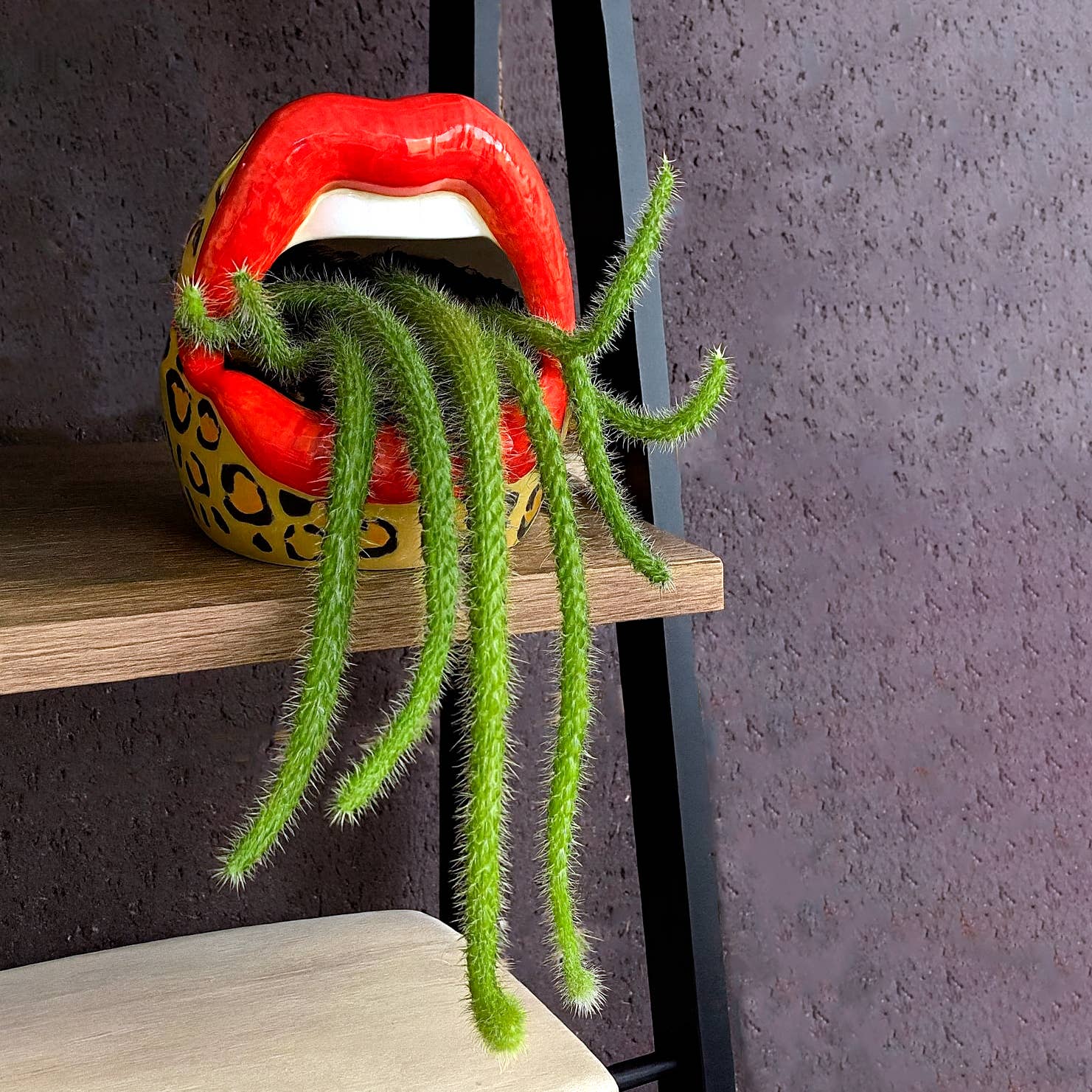 Fisura - Wholesale Ashtray - Ashtray mouth / multipurpose leopard container3