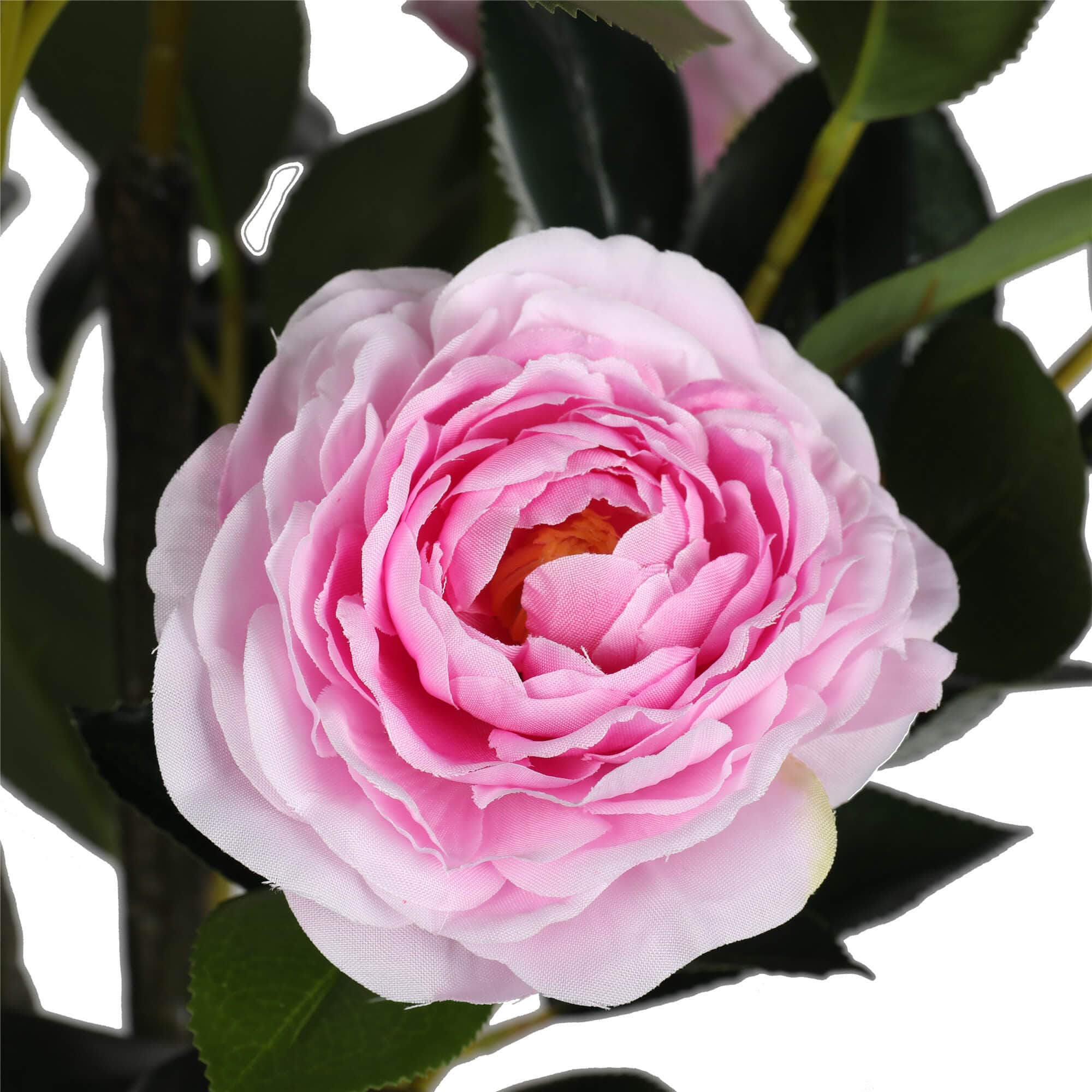 Designer Plants AU - Wholesale Artificial flowers - Flowering Pink Artificial Camellia Tree 180cm1