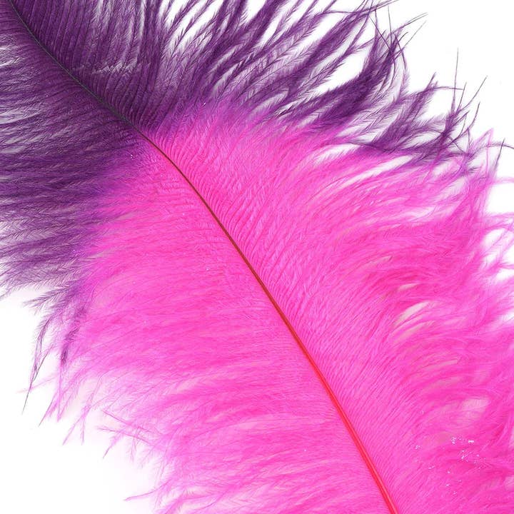 Zucker Feather Products - Wholesale Feathers - Ostrich Feather Drabs Tipped Selected - Shocking Pink1