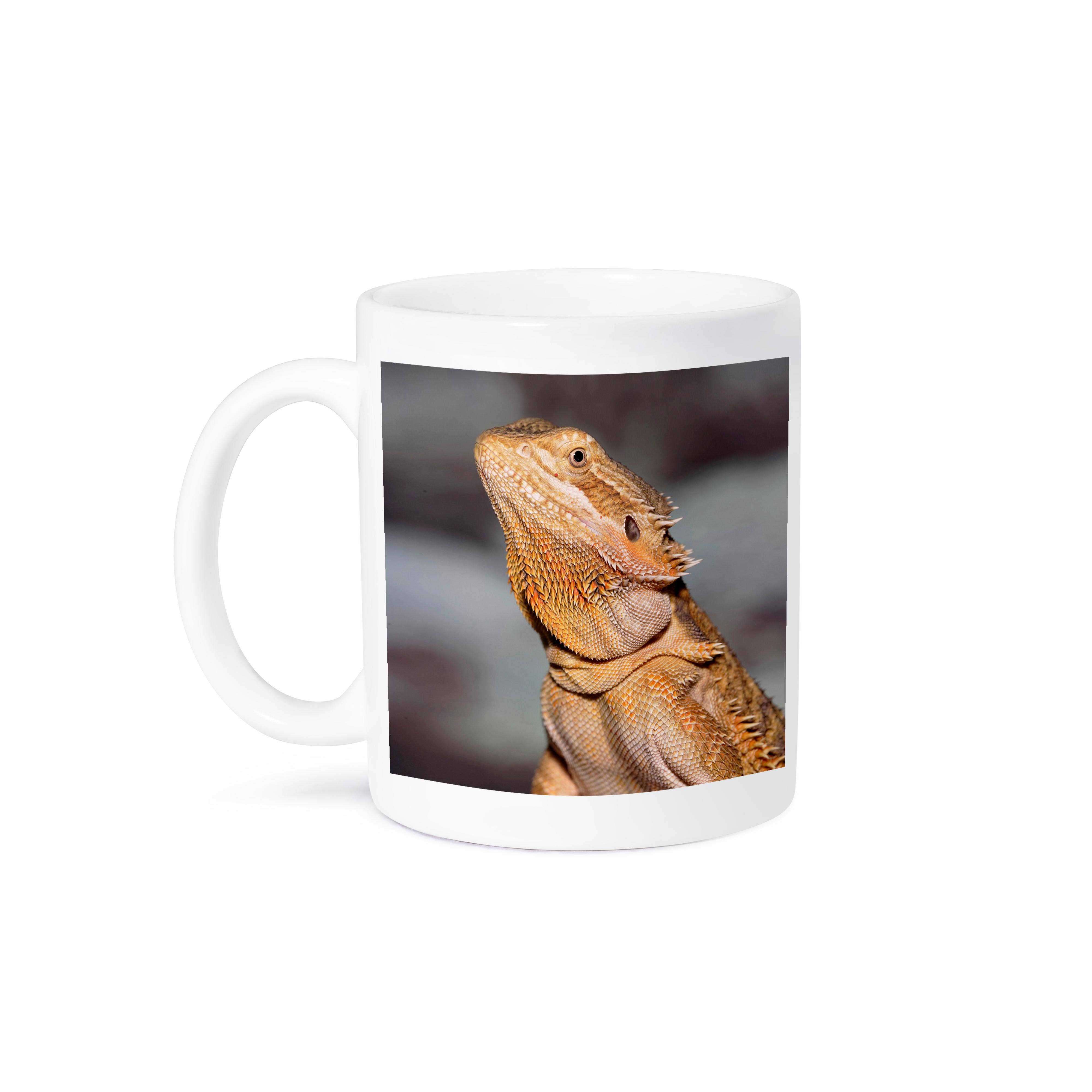 3dRose – Großhandel Kaffeebecher – 3dRose, Bartagame, Pogona vitticeps, Eidechse, Reptil - NA02 AJE0365 - Adam Jones, Tasse7