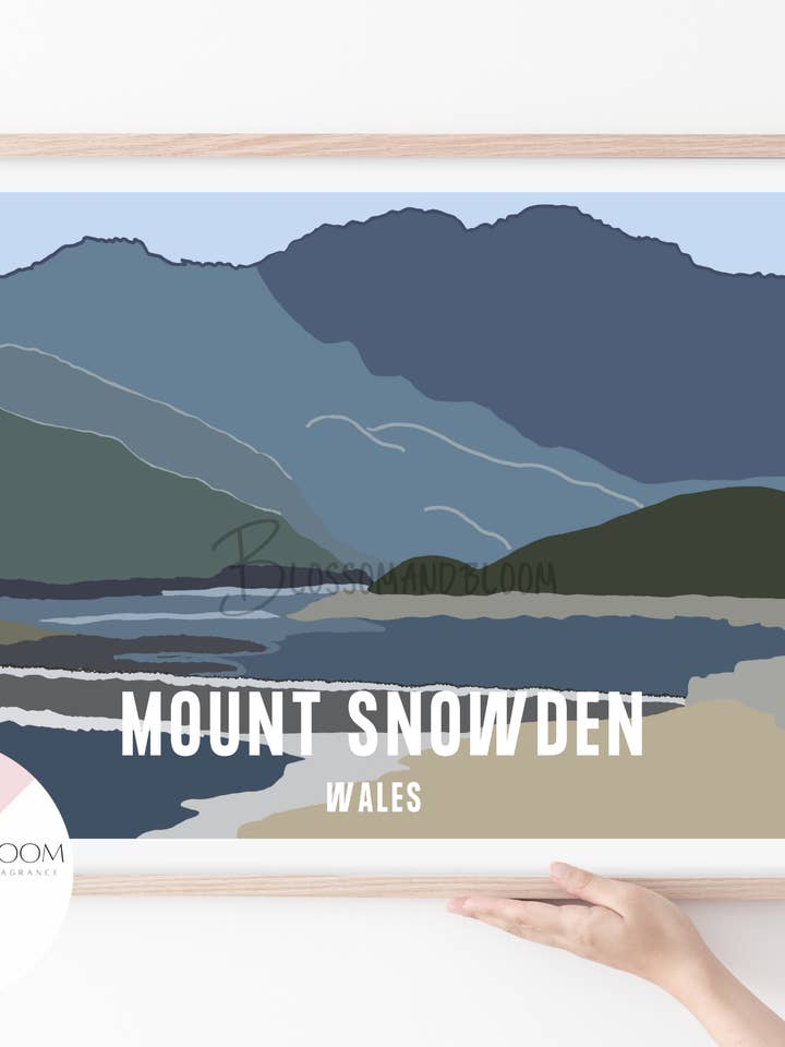 Monte Snowden por atacado de Blossom & Bloom