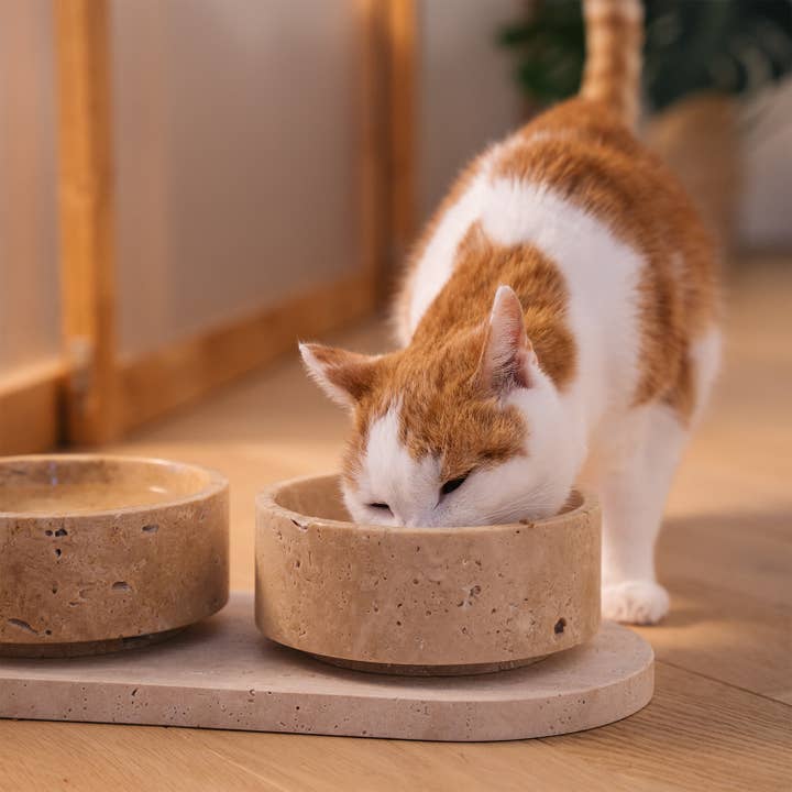 Kiwano Concept - Wholesale Pet Bowl - Cat/Dog - TRAVERTINE PET BOWL SET6