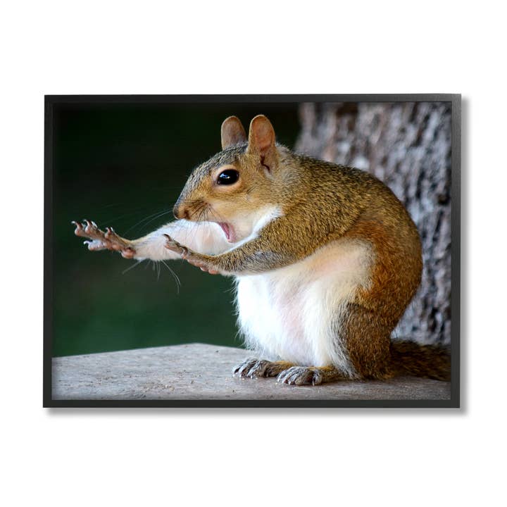 Stupell Industries – wholesale Art print – Funny Shocked Pose Squirrel Framed1