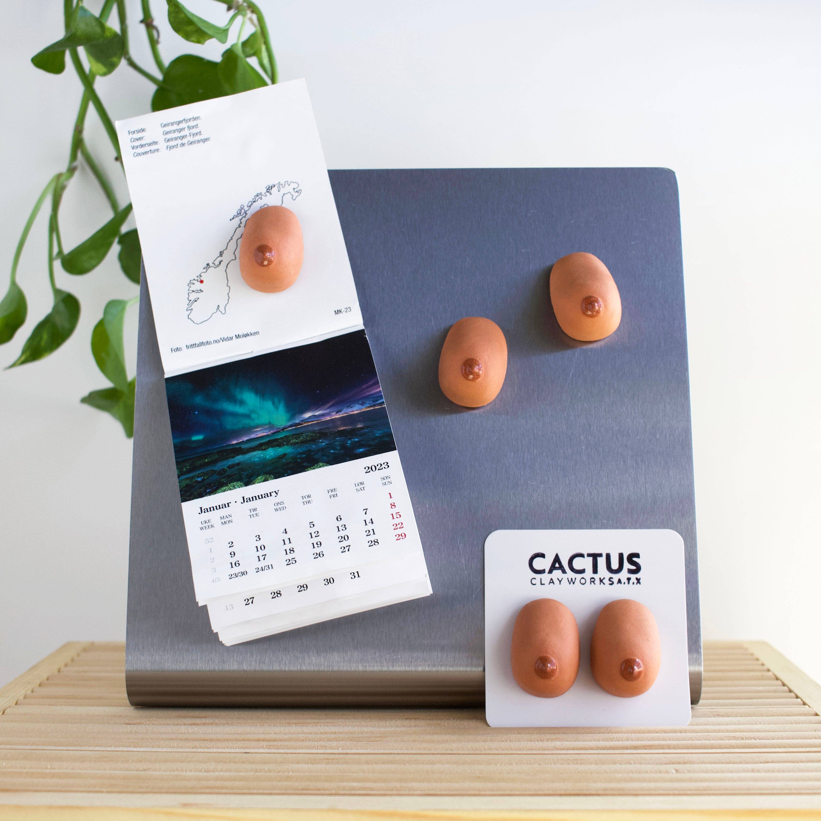 Doma Studios - Wholesale Magnet - Boob Magnets1