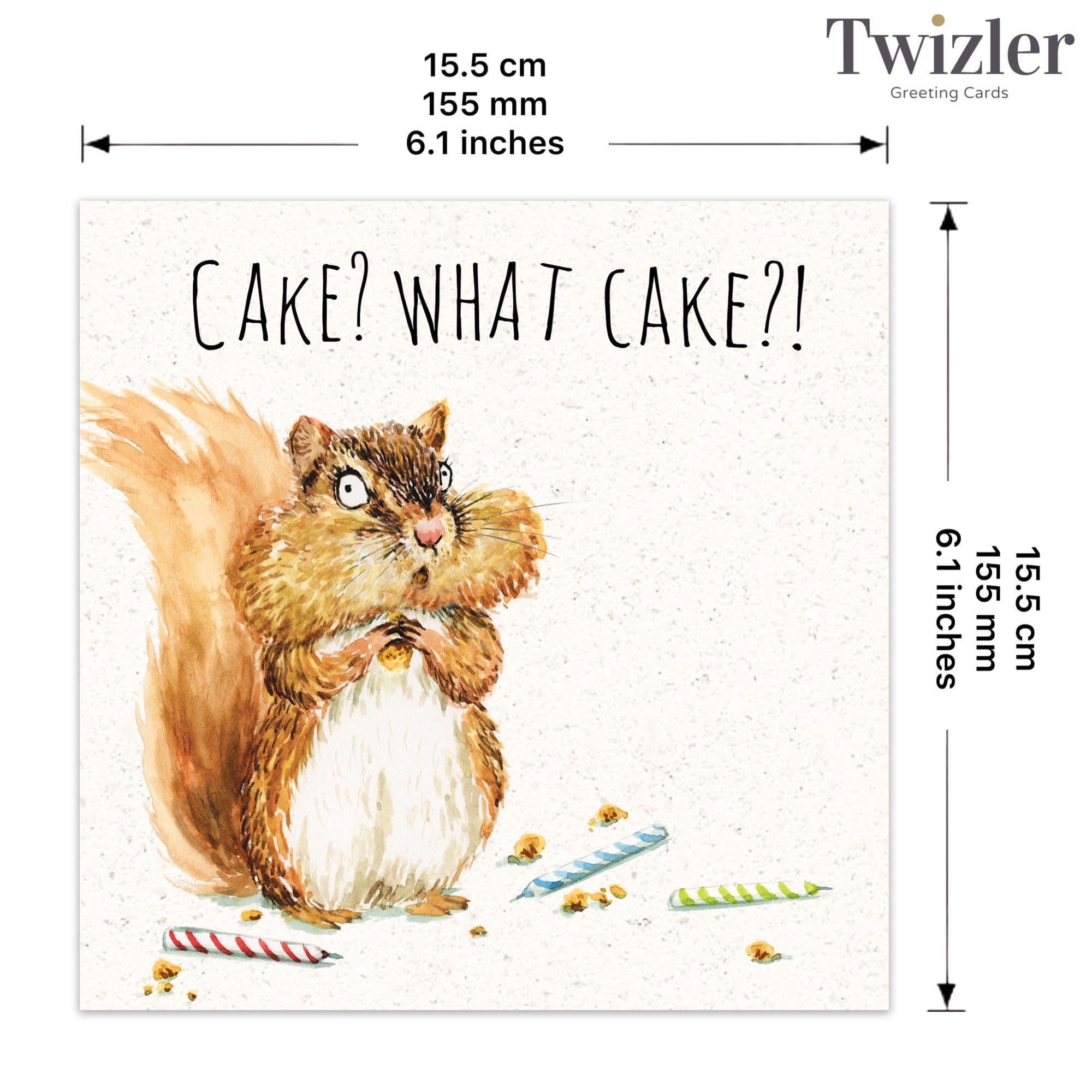 Twizler Ltd – wholesale Birthday card – What Cake - Funny Birthday Card2