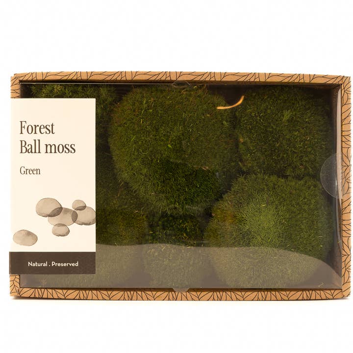 Musgo de Floresta Preservada - Musgo Bola - Grande Creabox por atacado de SecondFlor
