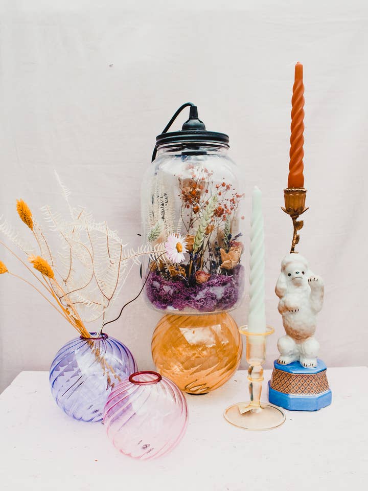 Terrario M 1 per la vendita all'ingrosso da parte di Ratatouille Creative Studio