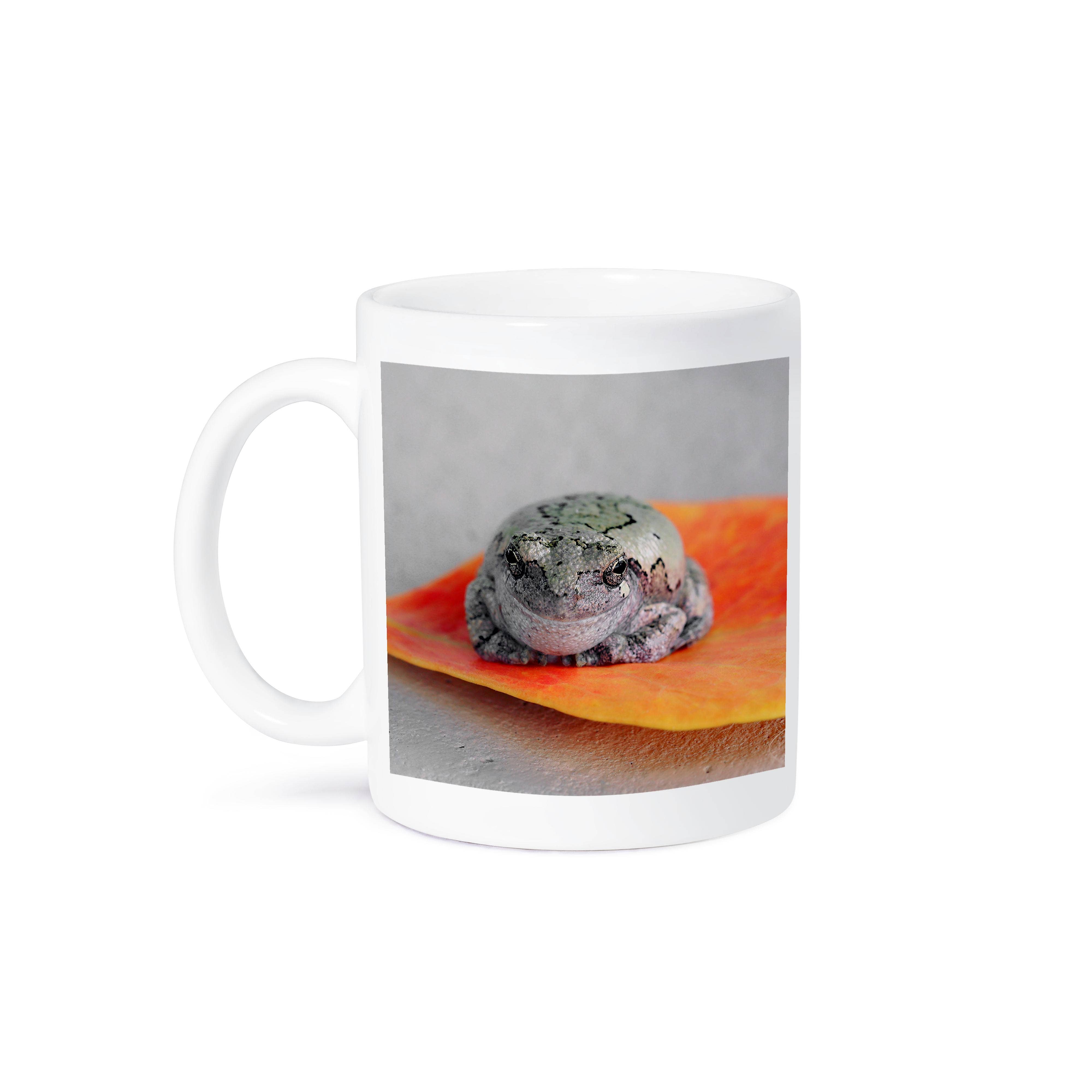 3dRose - Wholesale Coffee Mug - 3dRose, A macro photograph of a gray treefrog on an orange leaf., Mug8