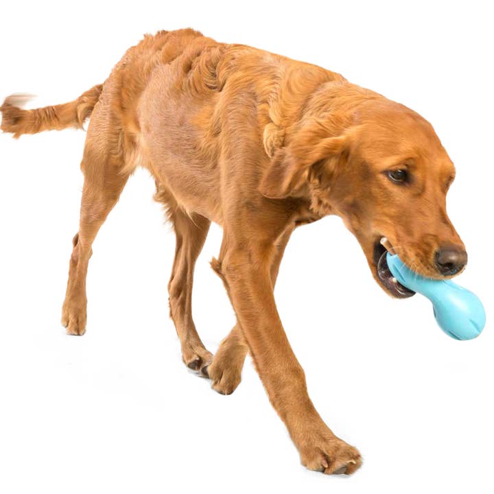 West Paw - Wholesale Pet Chew Toy - Dog - Qwizl® Dog Puzzle Treat-Dispensing Enrichment Toy8