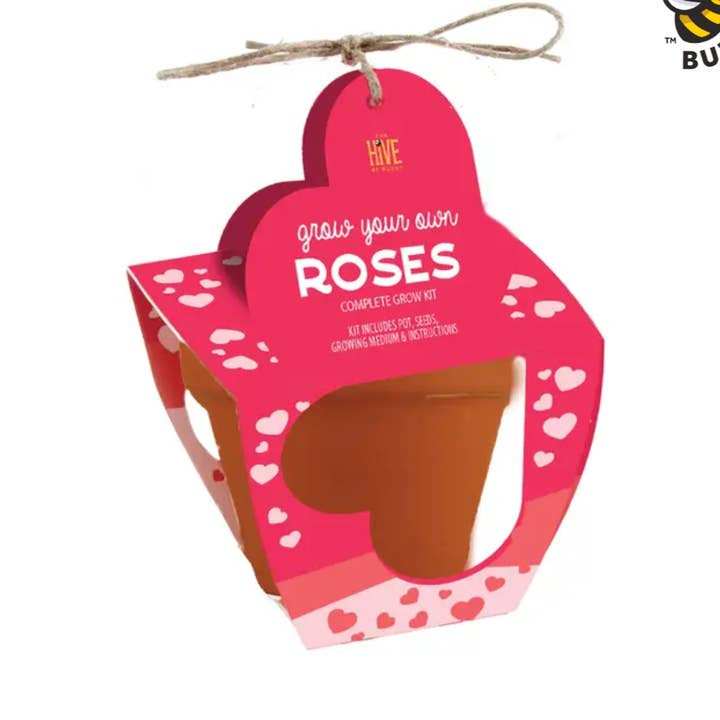 Buzzy Seeds Grow Gifts - Wholesale Plant Seeds - Rose Terracotta Grow Kit – Indoor Herb Gift0