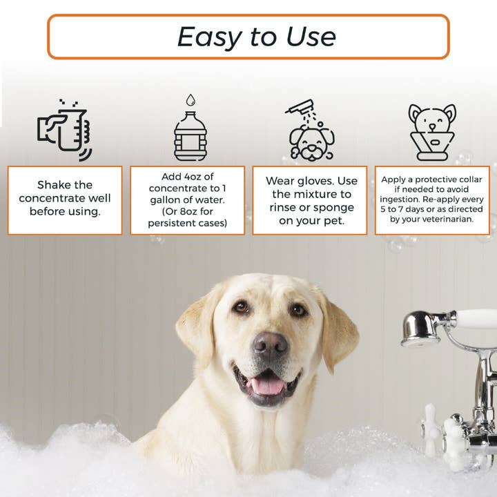 Healthy Paw Life - Wholesale Pet Shampoo - Dog - Healthy Paw Life Skin & Coat Care Combo - Lime Sulfur Dip 16 oz + Antiparasitic & Antiseborrheic Dog Shampoo 16 oz