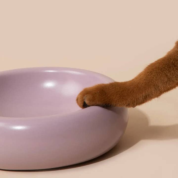 The Donut | Ceramic Food Bowl for Cats and Small Dogs for wholesale by Hoshiba | Modern Petwear