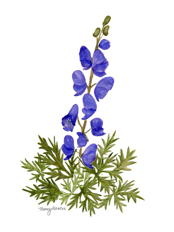 Impression Giclée Aquarelle Florale "Kind Cosplayer" pour la vente par Beauty Is Inside