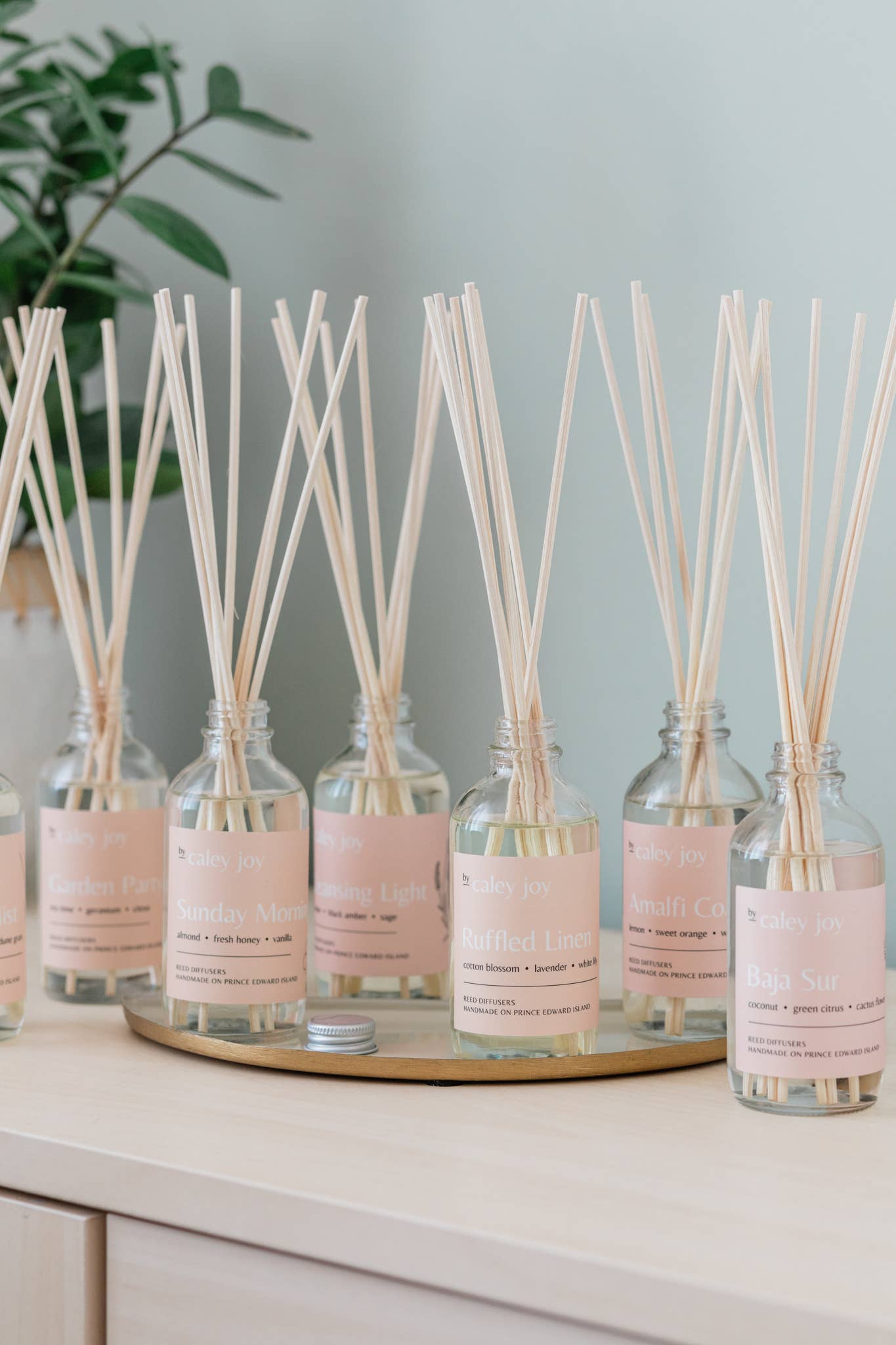 By Caley Joy - Wholesale Geurstokjes - Zondagochtend | Reed Diffuser4