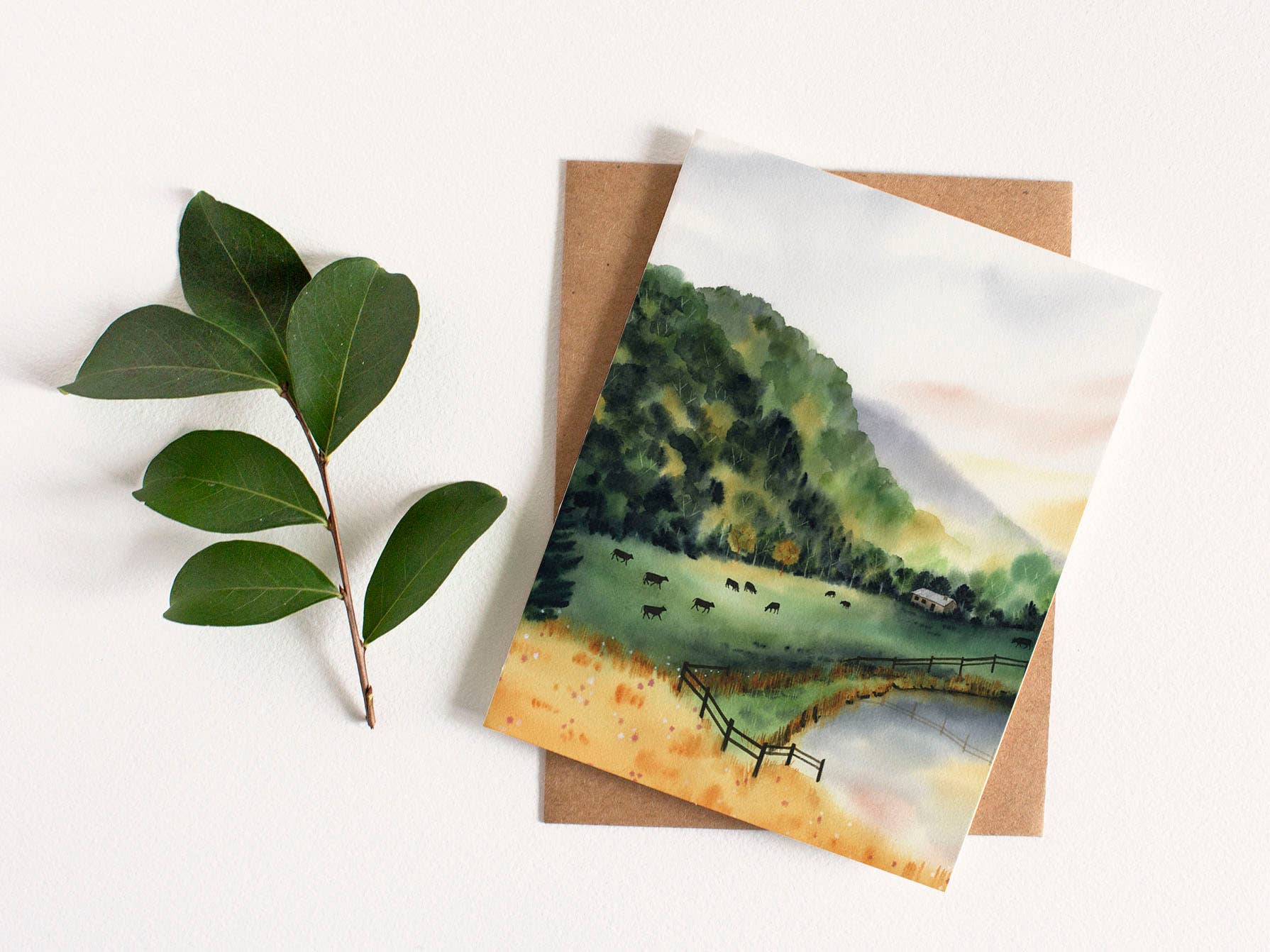May We Fly - Wholesale Stationery/Notecard Set - Hills and Meadows Greeting Card Set1