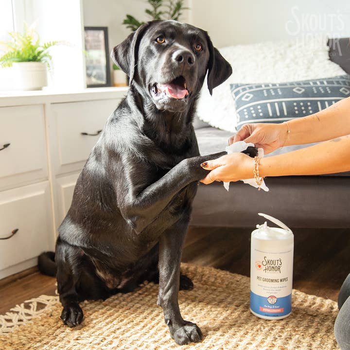 Pet Palette Distribution - Wholesale Pet Grooming Aid - Dog - Skout's Honor Pet Grooming Wipes for Dogs & Cats 80ct4