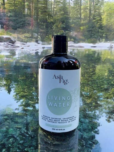 Living Water for wholesale by Ash & Fig