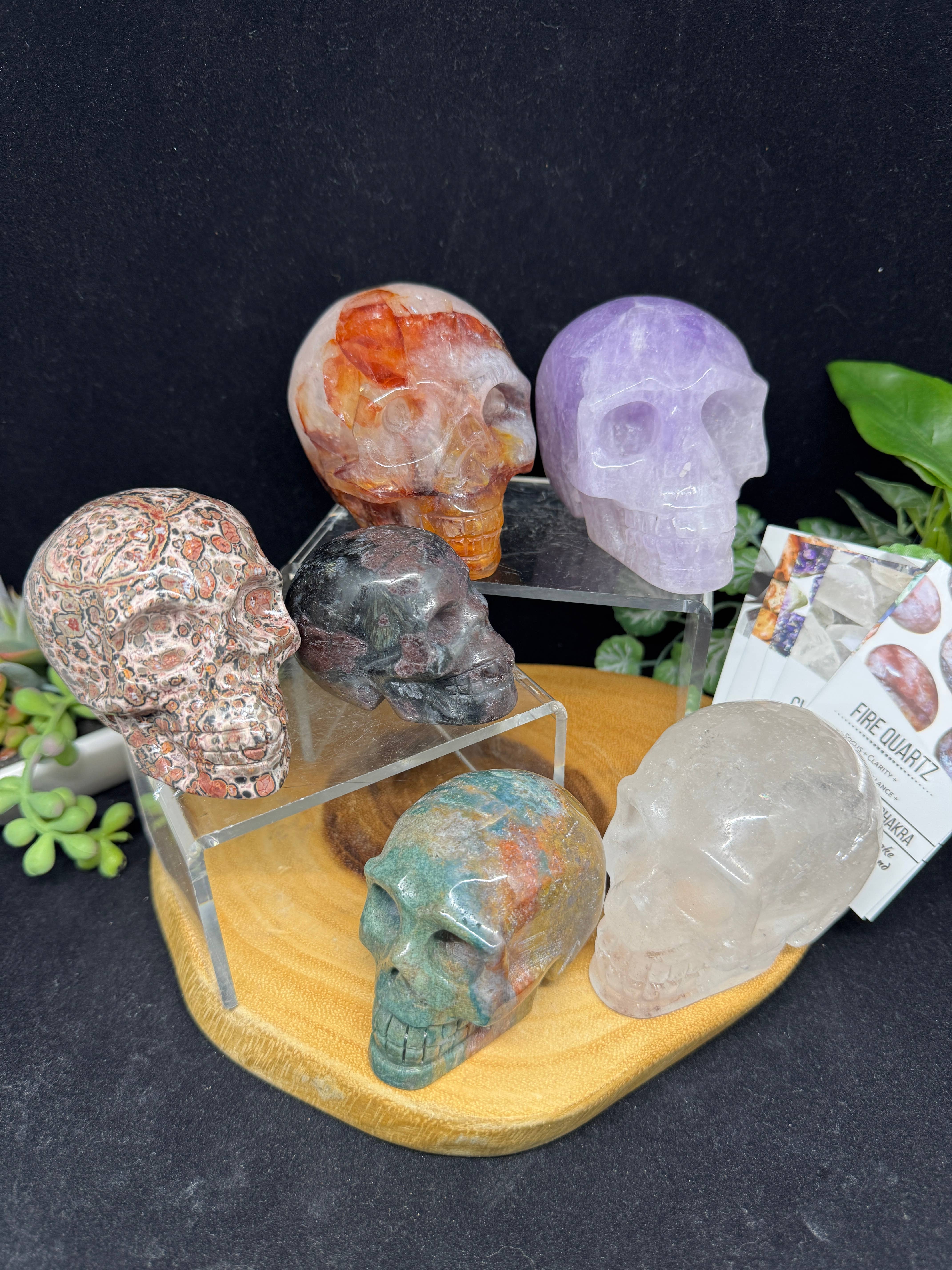 The 7 Directions - Wholesale Spiritual Stone/Crystal - 6 pc Ocean Jasper Leopardite fire quartz skull bundle G8051