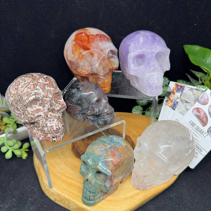 The 7 Directions - Wholesale Spiritual Stone/Crystal - 6 pc Ocean Jasper Leopardite fire quartz skull bundle G8051