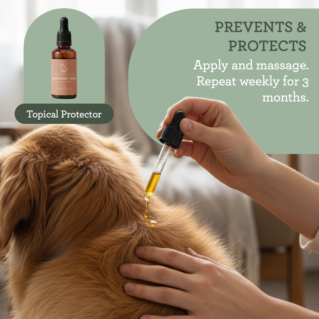 Generosa - Wholesale Pet Grooming Aid - Dog - Generosa Dog’s Skin Care – Olive & Neem Oil Blend 50 ml3