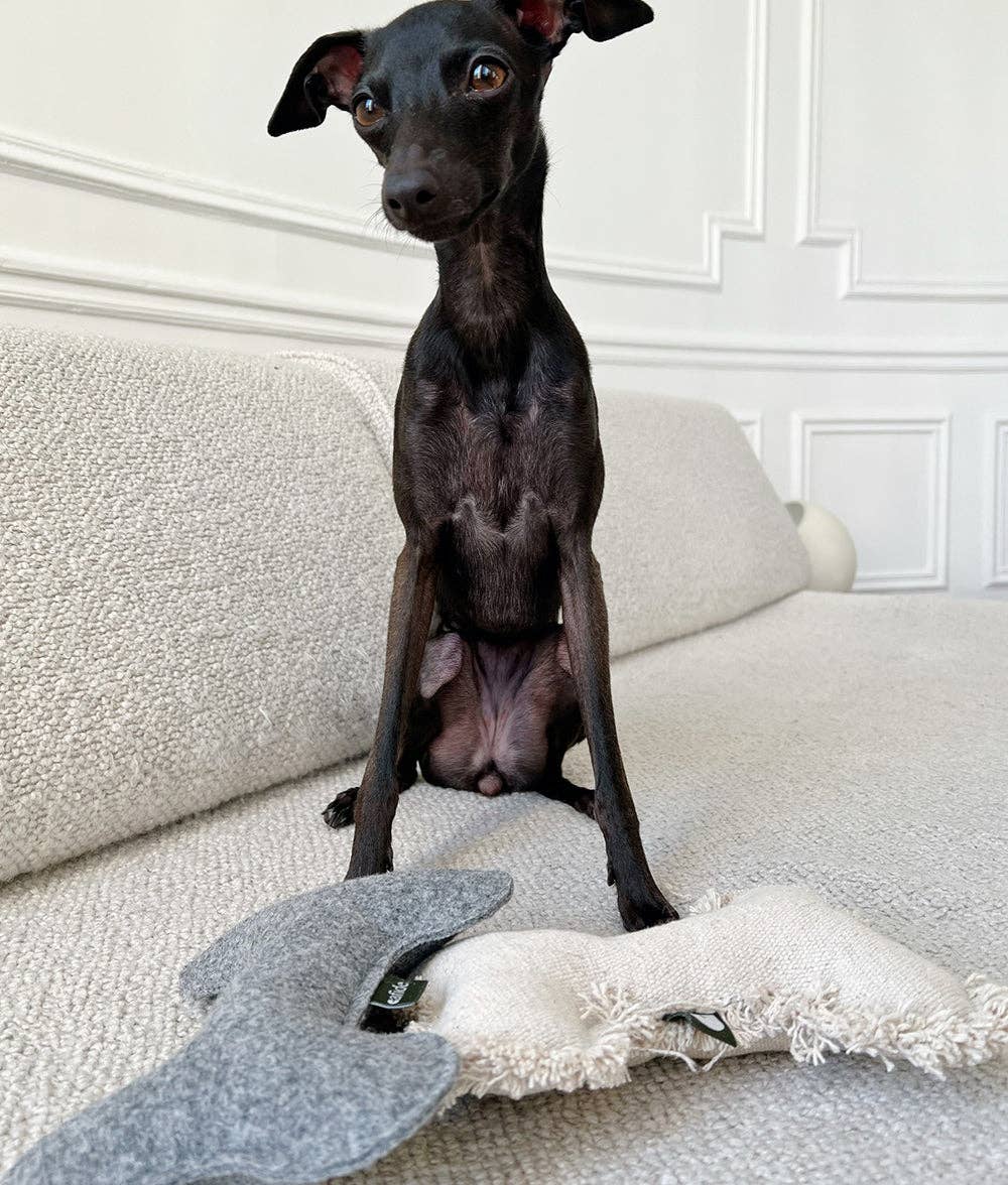 CAFIDE - Wholesale Pet Plush Toy - Dog - White Bone Dog Toy, Fleky6