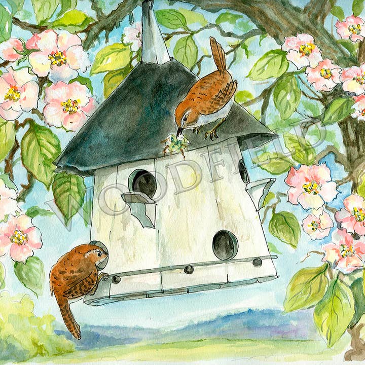 Carte postale #13 - Wren's Nest pour la vente par Woodfield Press