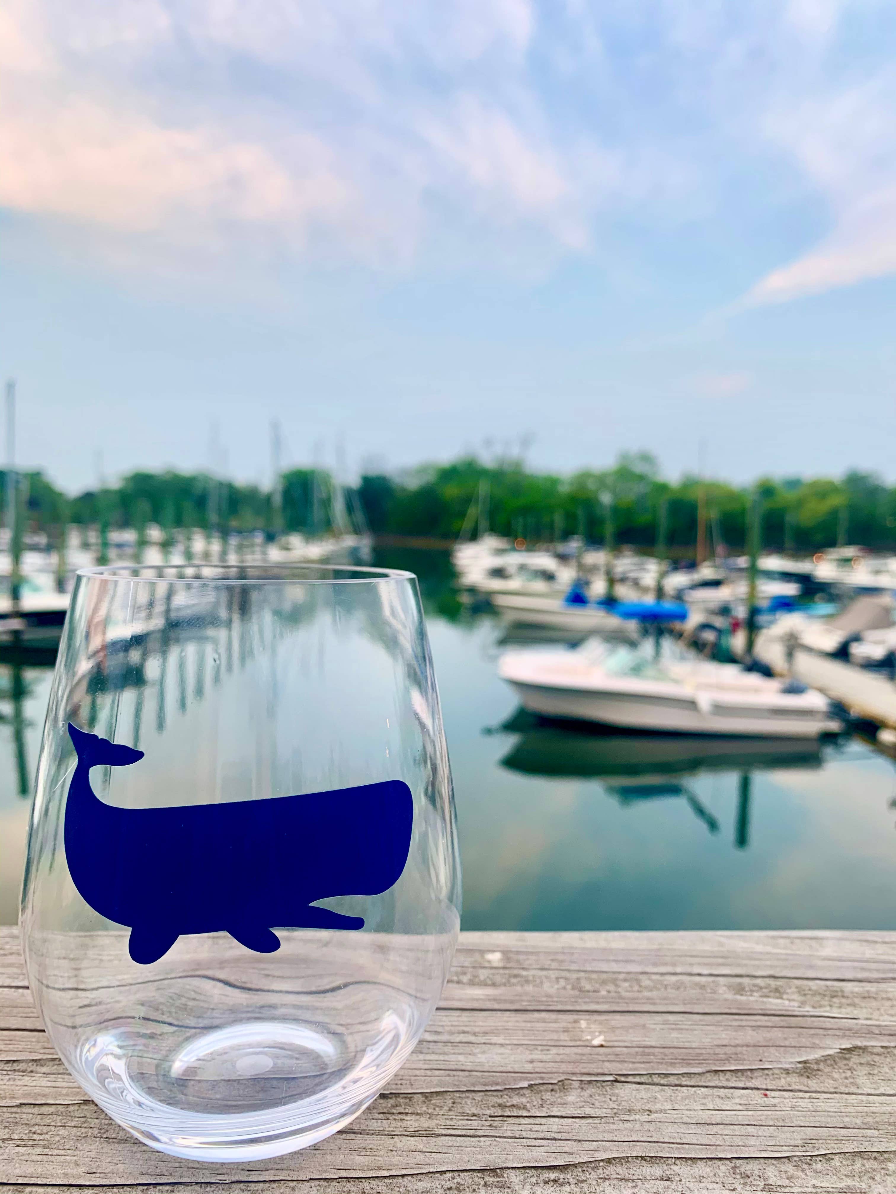 Everything Labeled | Coastal & Custom Drinkware - Wholesale Wine Glass - Coastal Acrylic Wine Glass Starter Pack – 24 pc Best Sellers10