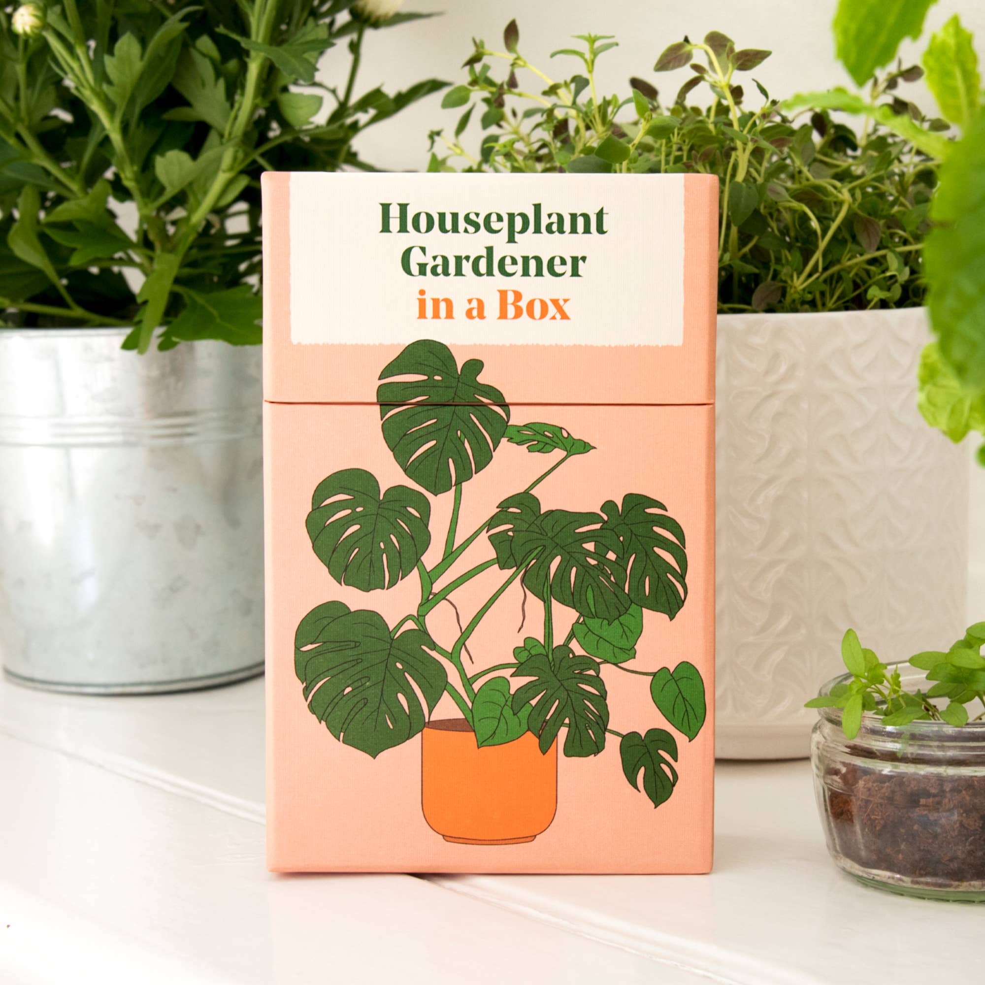 Abrams - Vente Maison et jardin - Jardinier pour plantes d'intérieur dans une boîte4