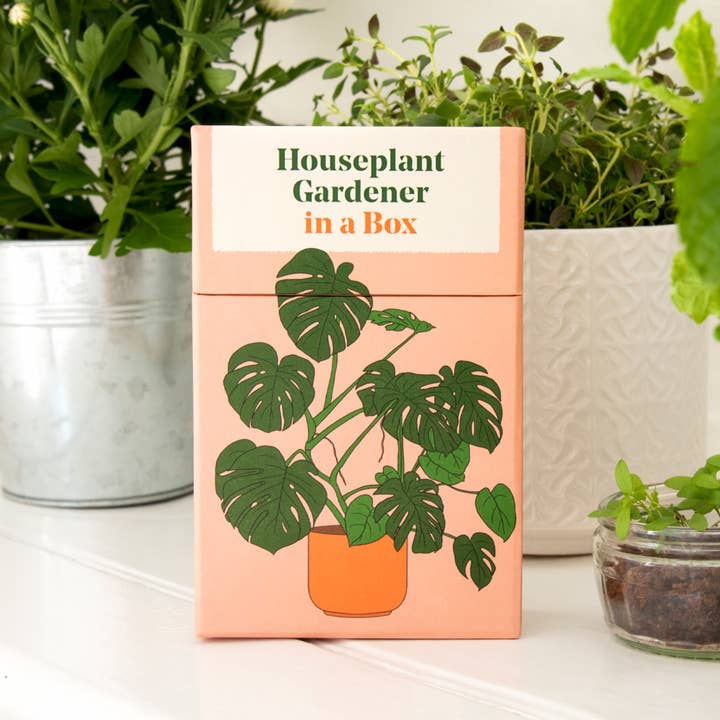 Abrams - Vente Maison et jardin - Jardinier pour plantes d'intérieur dans une boîte4