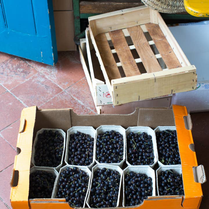 London Borough of Jam – Engroshandel Marmelade – Chuckleberry Marmelade 220g4