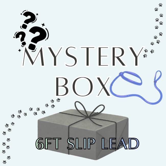 Mystery Slip Lead for wholesale by Helper Dog Boutique
