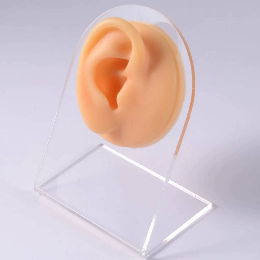 SKINPOP - Wholesale Jewelry Stand & Display - 3D SYNTHETIC LEATHER PIERCING TRAINING A3 A4 A519