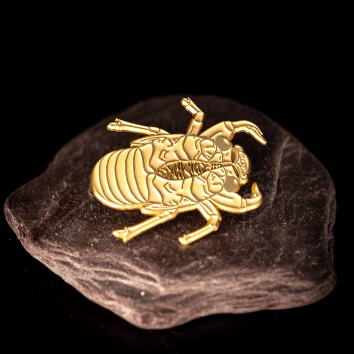 The Roving House - Wholesale Lapel Pin/Button - Double Drummer Cicada Life-sized Exuvia Enamel Pin
