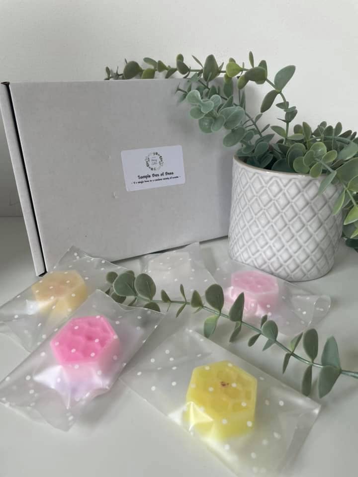 Sample Box Of Bee's for wholesale by Honey Catch Melts