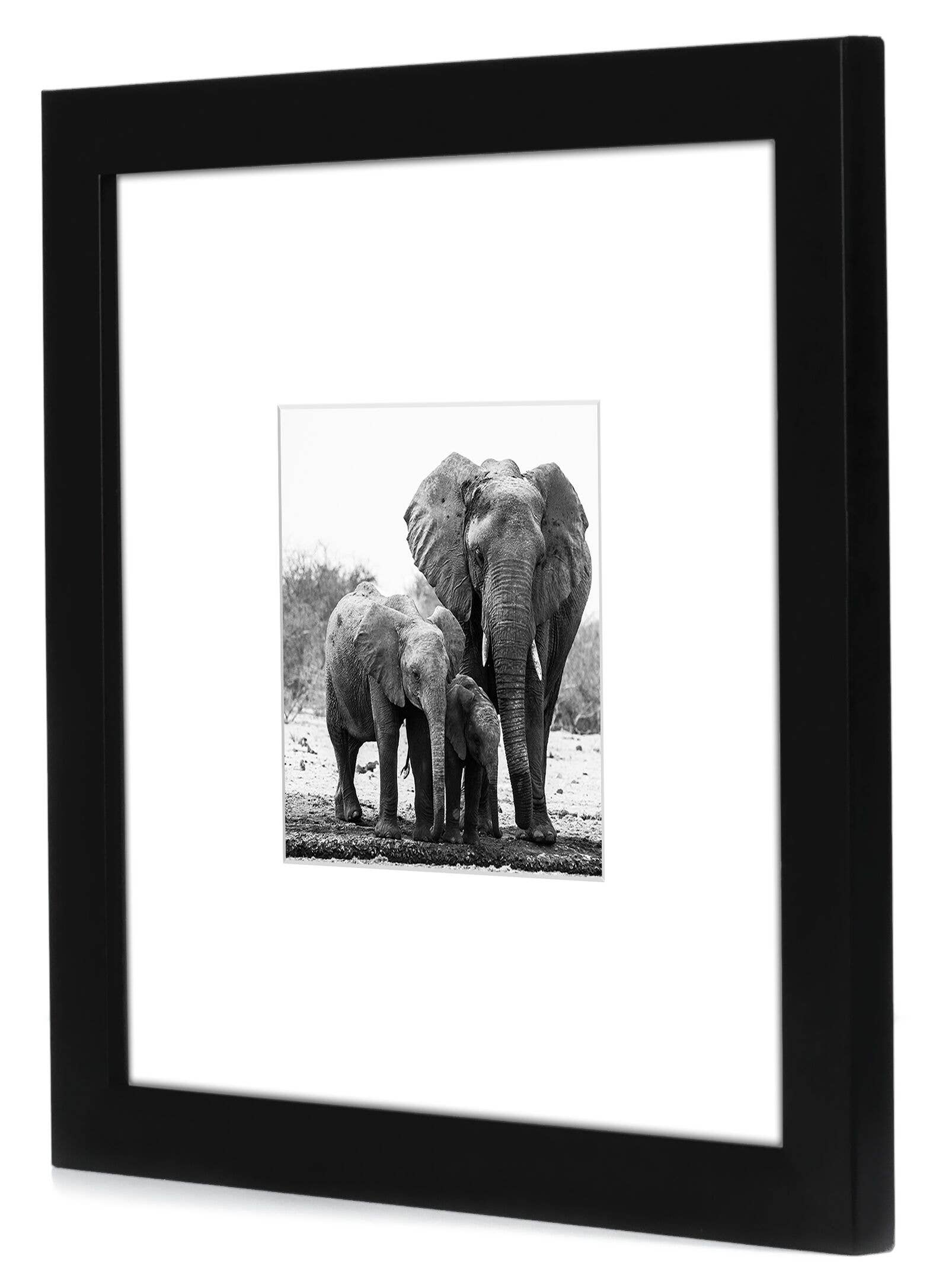 Americanflat - Wholesale Picture Frame - Americanflat Picture Frame with Mat Standard Molding187