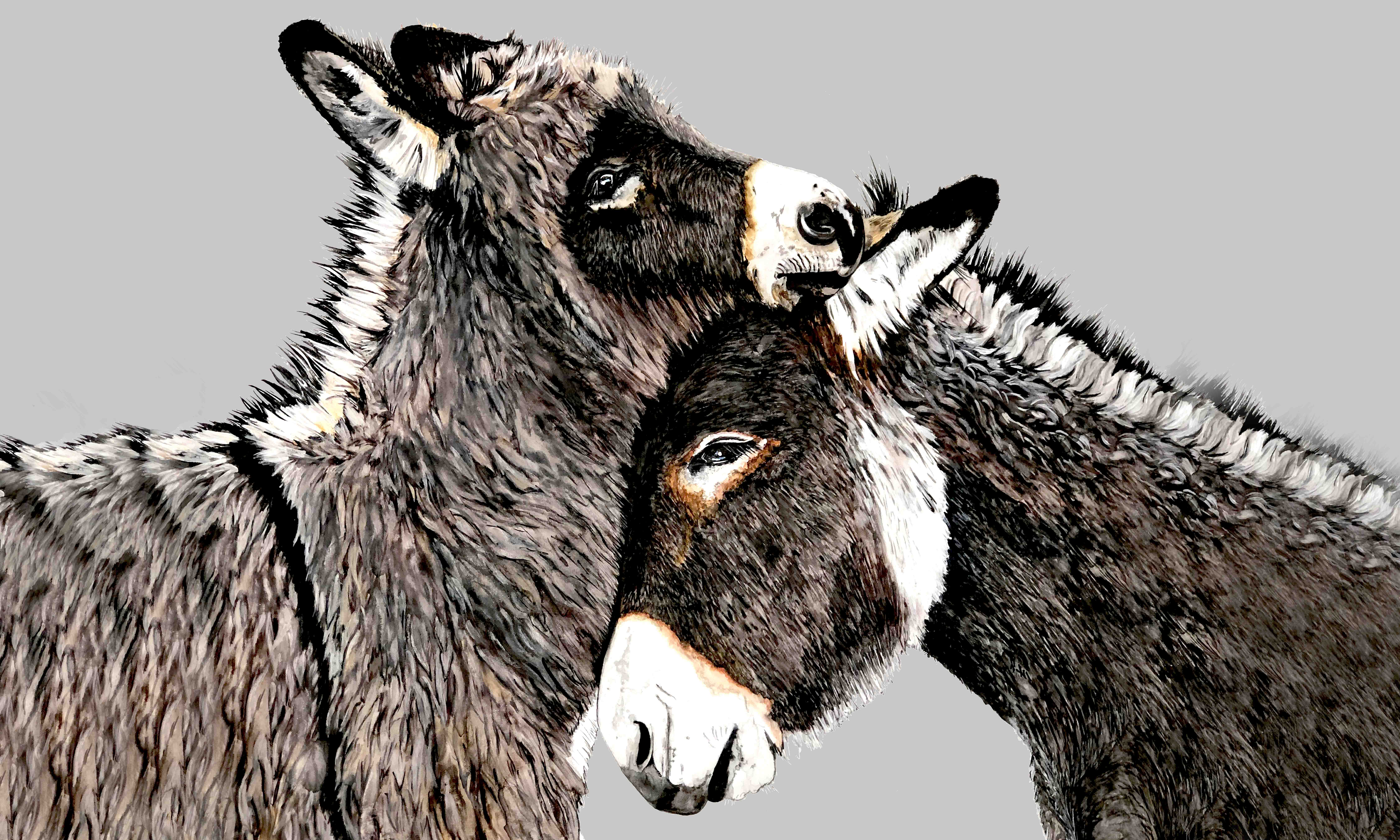 DOLLY ESTELLE - Wholesale Door Mat - Welcome Floor Mat 18x30 - Mix & Match  9