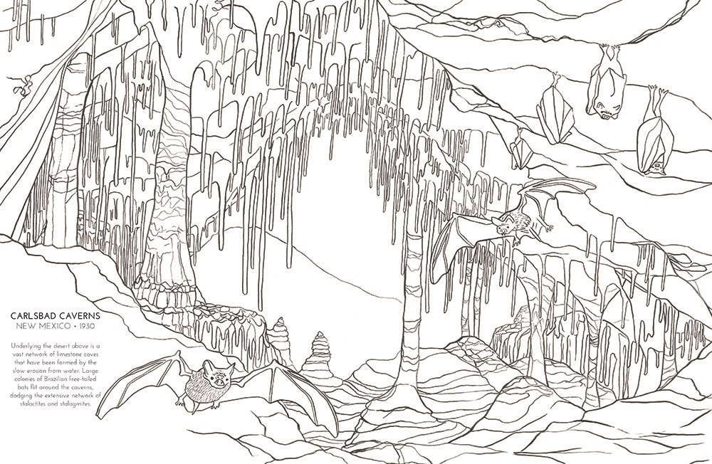 Microcosm Publishing & Distribution - Venta al por mayor Libro para colorear y cuaderno de actividades - Adultos - Libro para colorear Parques Nacionales1